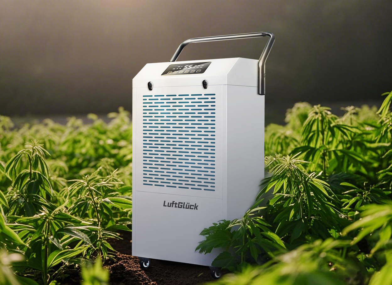 Dehumidifier do Phlandálacha: An bheadh sé in ann malaí agus feá ina choinneáil go héifeachtach?
