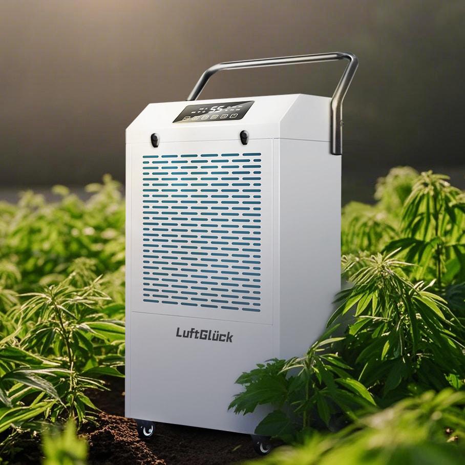 Pagbubukas ng 'Climate Code' ng Pagkakultiba ng Cannabis: Paano Tumutulong ang Luftglück Para Makamit ang mga Elemento