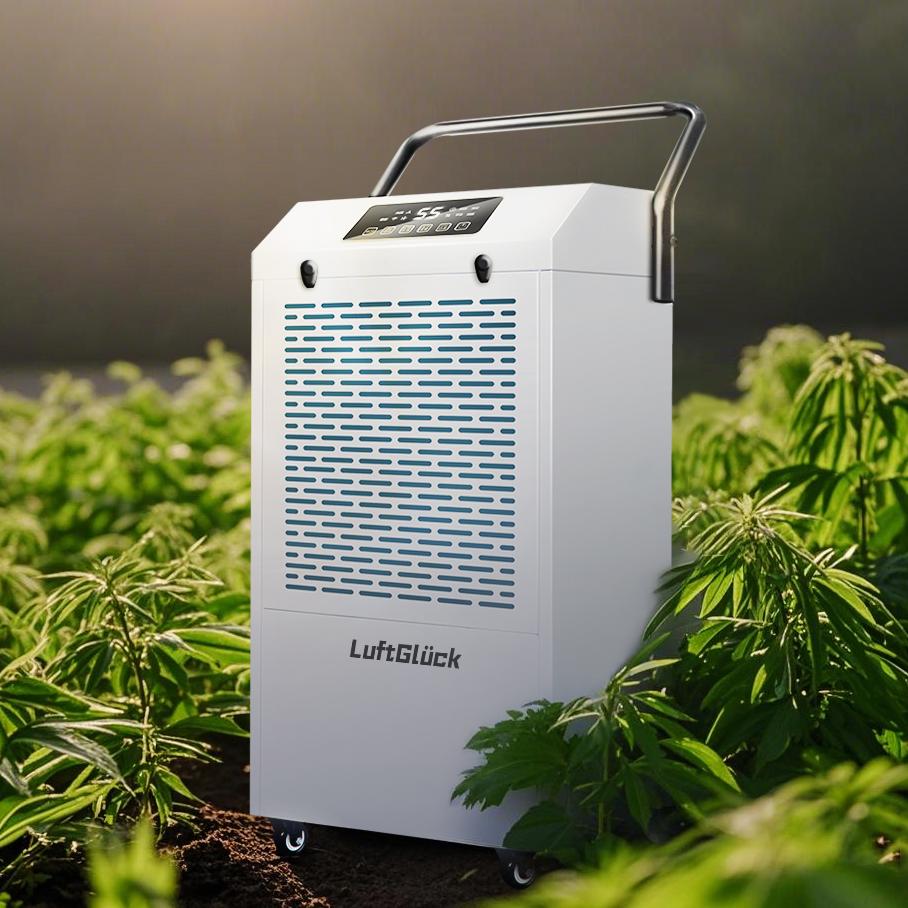 Weed Cultivation