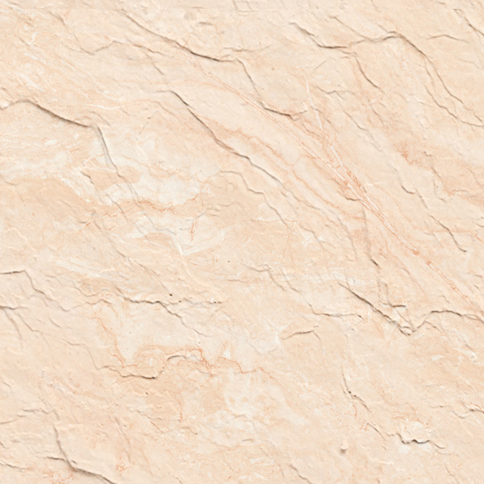 Indian Rice Apricot Stone