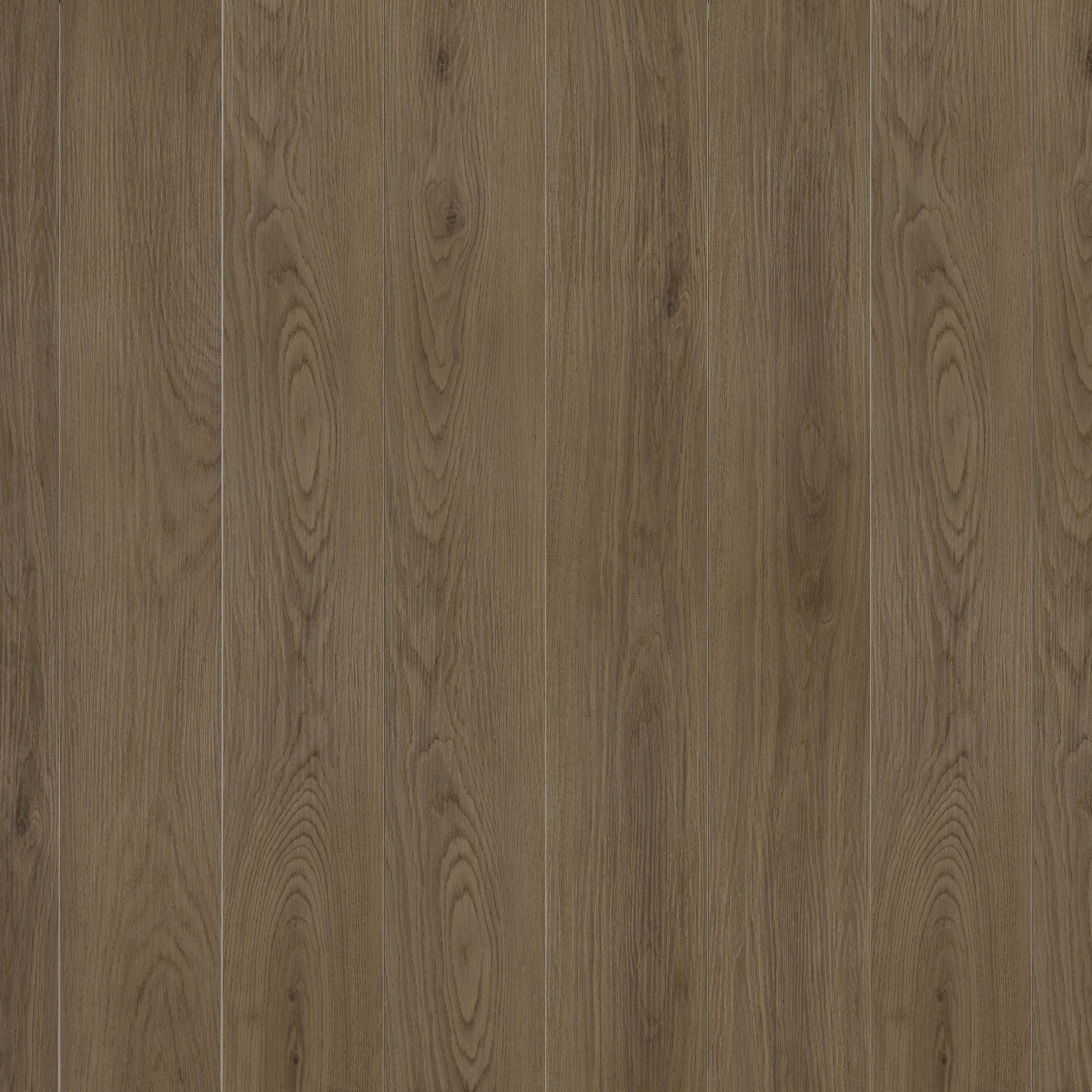 Light Brown Mountain Shadow