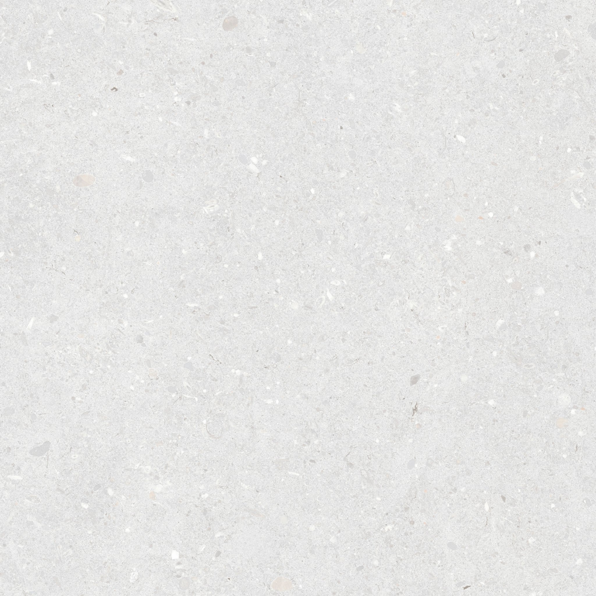 Bianco Premium Limestone Tile 24x24 Anti-Slip Shower Wall