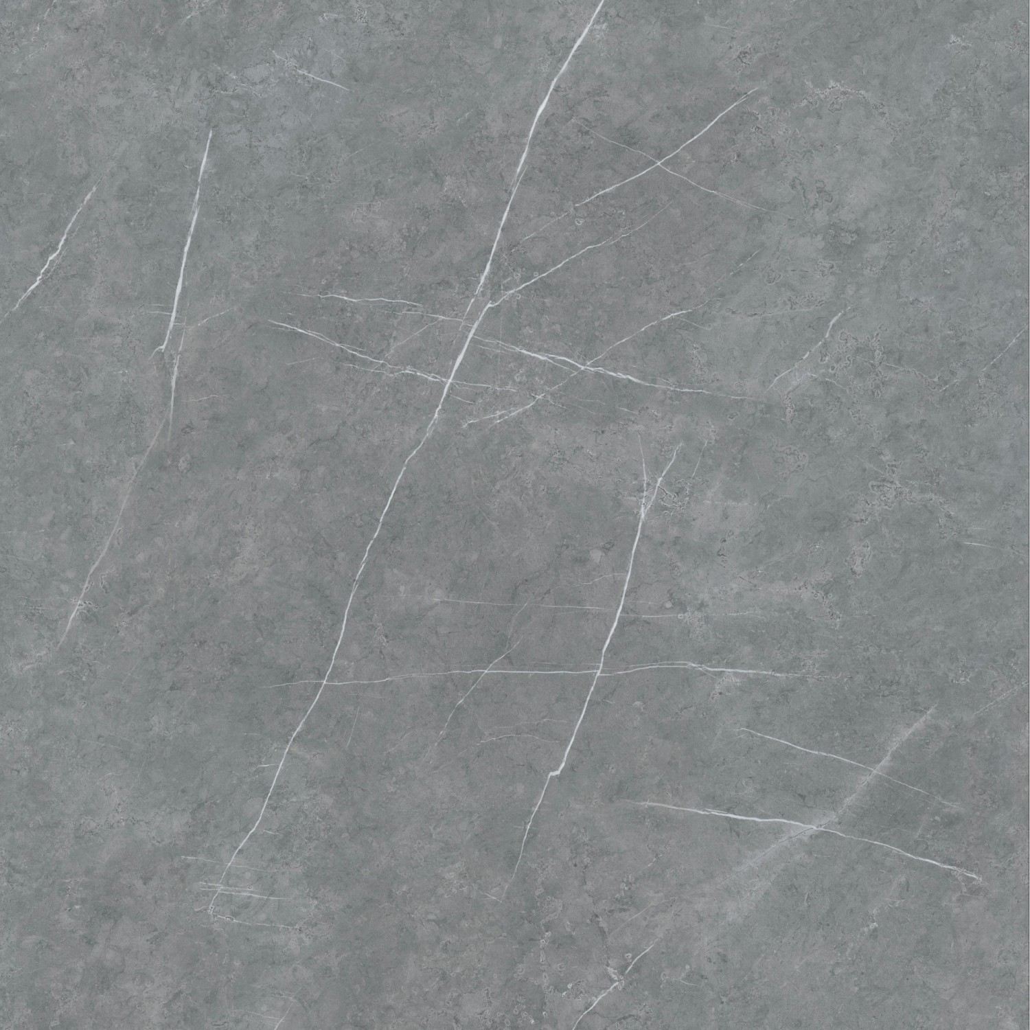 GF-YGY241212-391