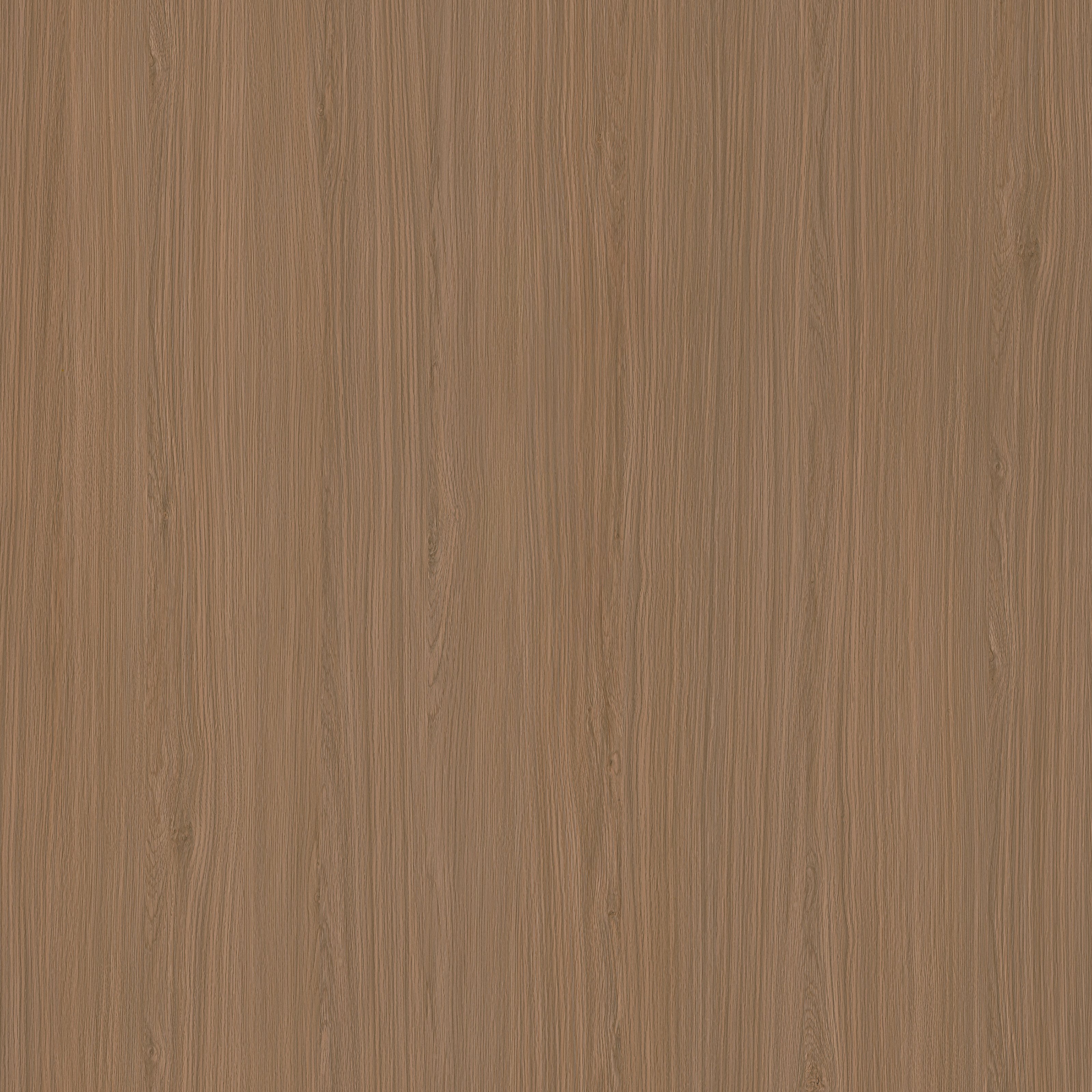 Seine Light Brown