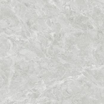 Polished SFJQ82747