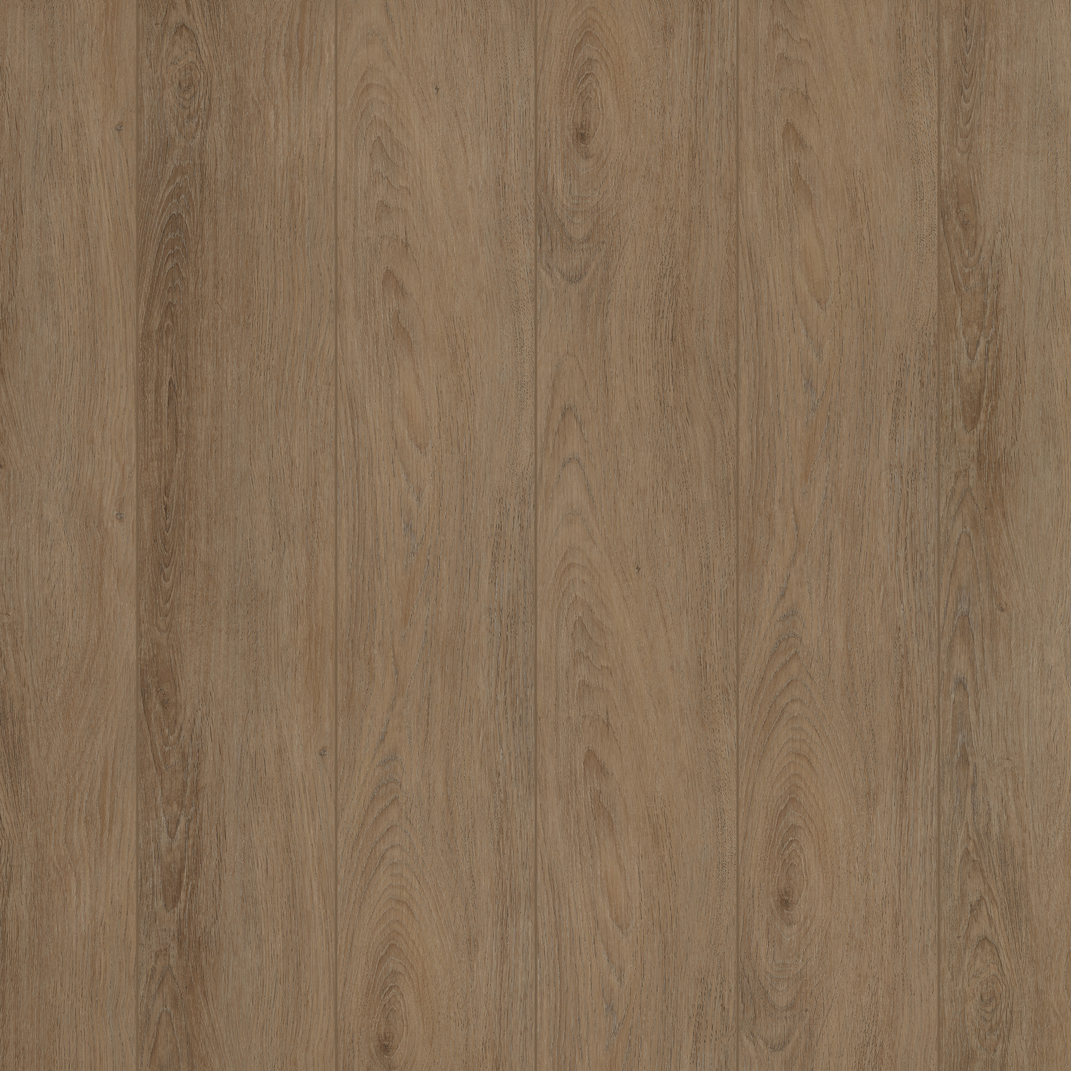 Brown Elegant Lake Forest