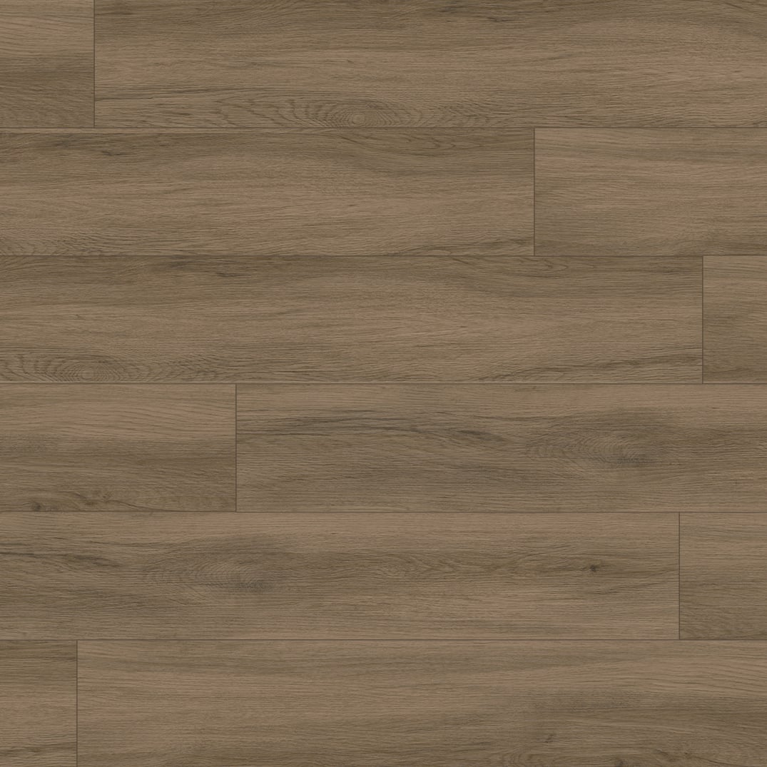 Baroque Brown