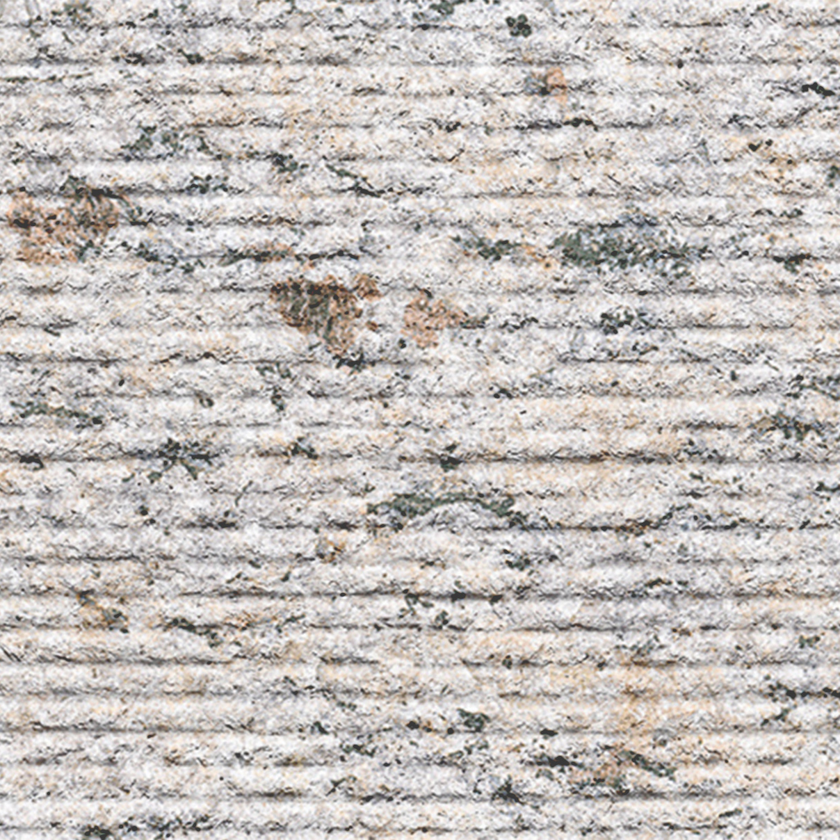 Indian Kashmir White (Ribbed Face)