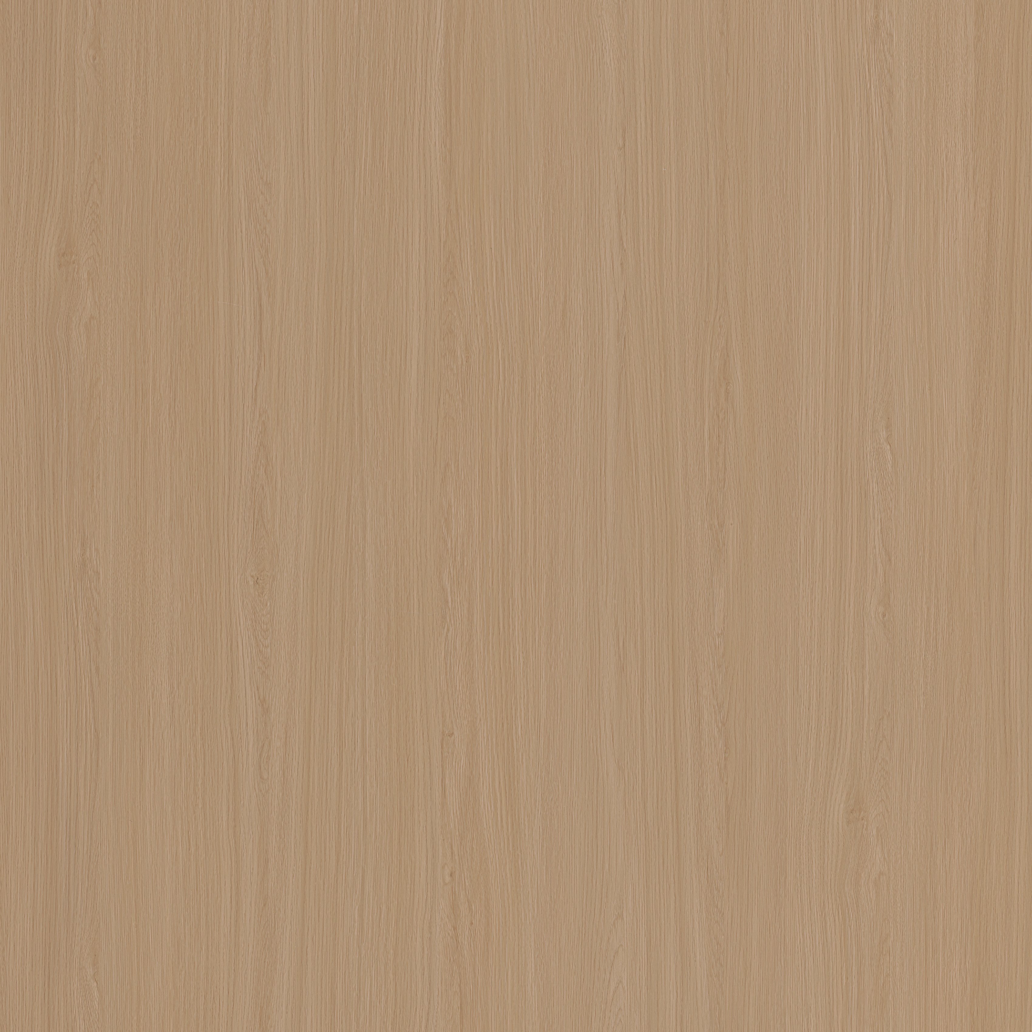 Seine Walnut