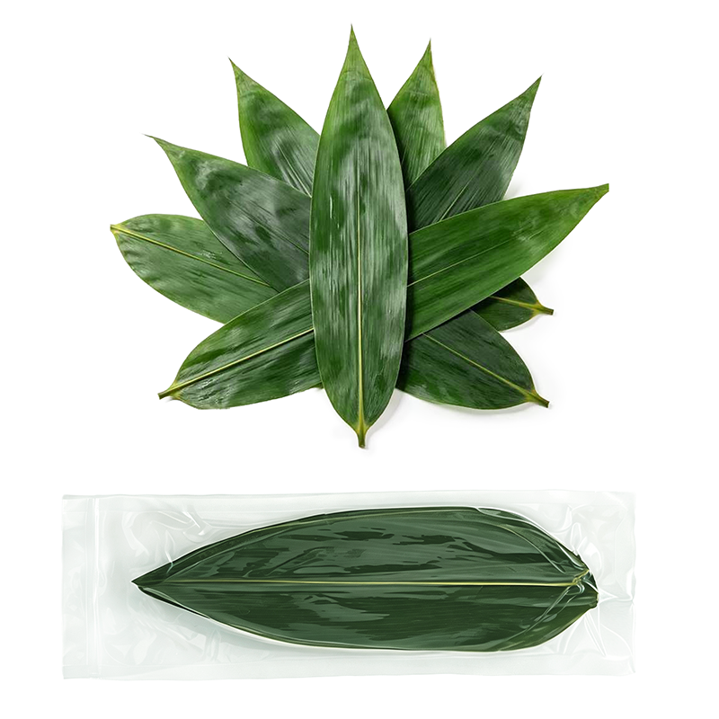 Bamboo Leaves Vacuum Sealed In Transparent Plastic Bag