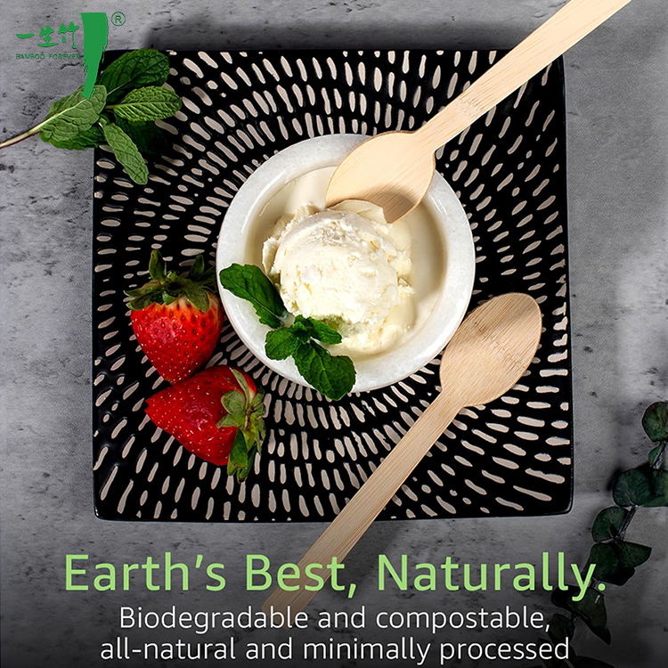 How Bamboo Forks and Spoons Enhance Your Brand's Eco-Conscious Image