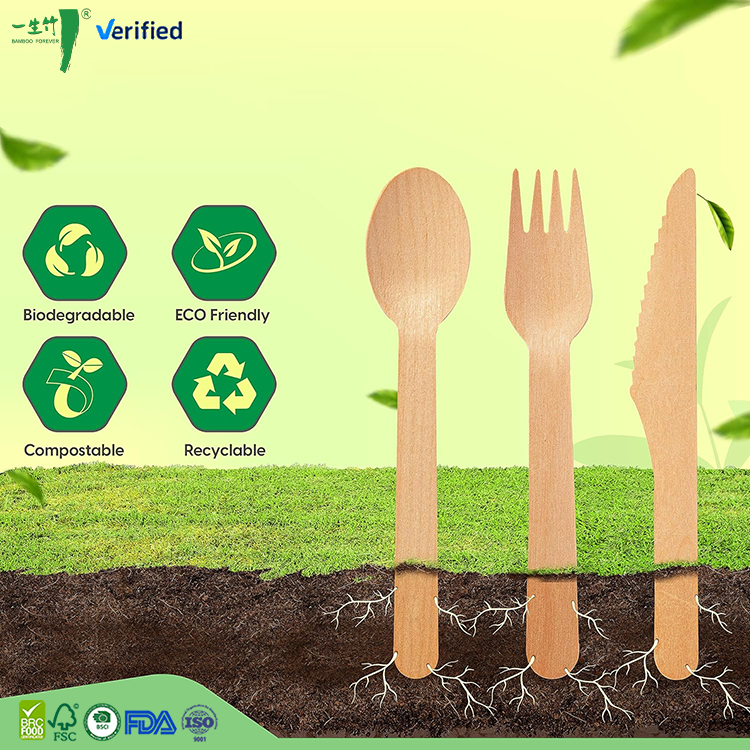 What Common Issues Do Buyers Face with Traditional Cutlery vs. Eco Solutions?