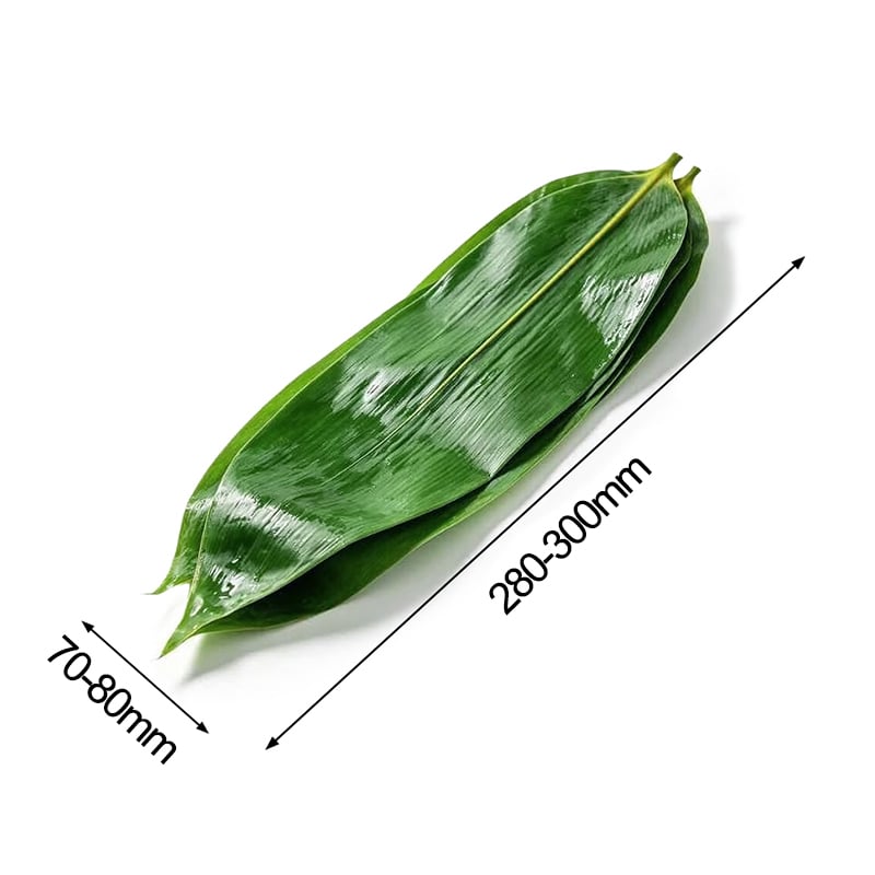 Bamboo Leaves 11.02