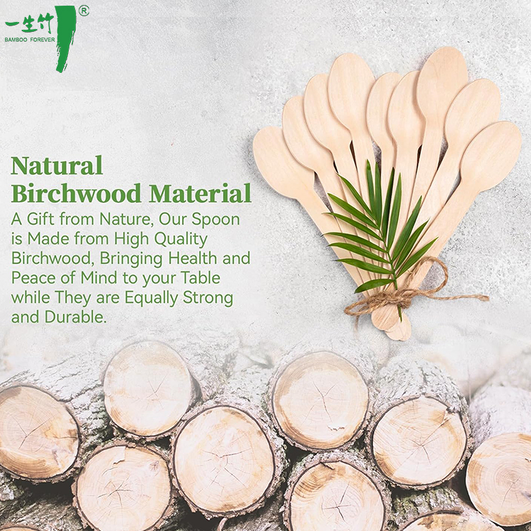 What Makes Eco-Friendly Wood Spoons a Trending Choice?