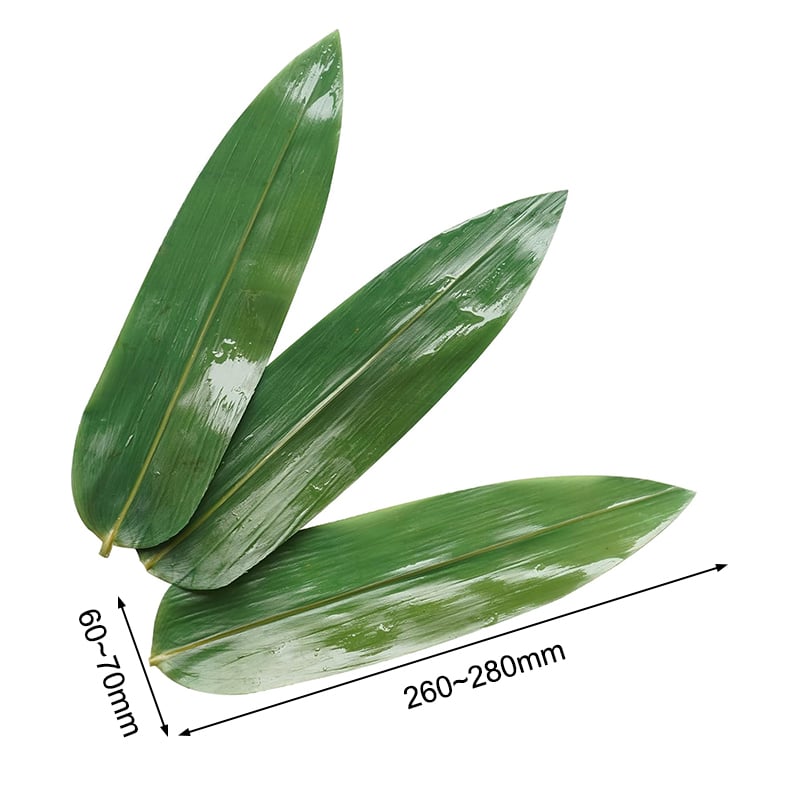 Bamboo Leaves 10.24