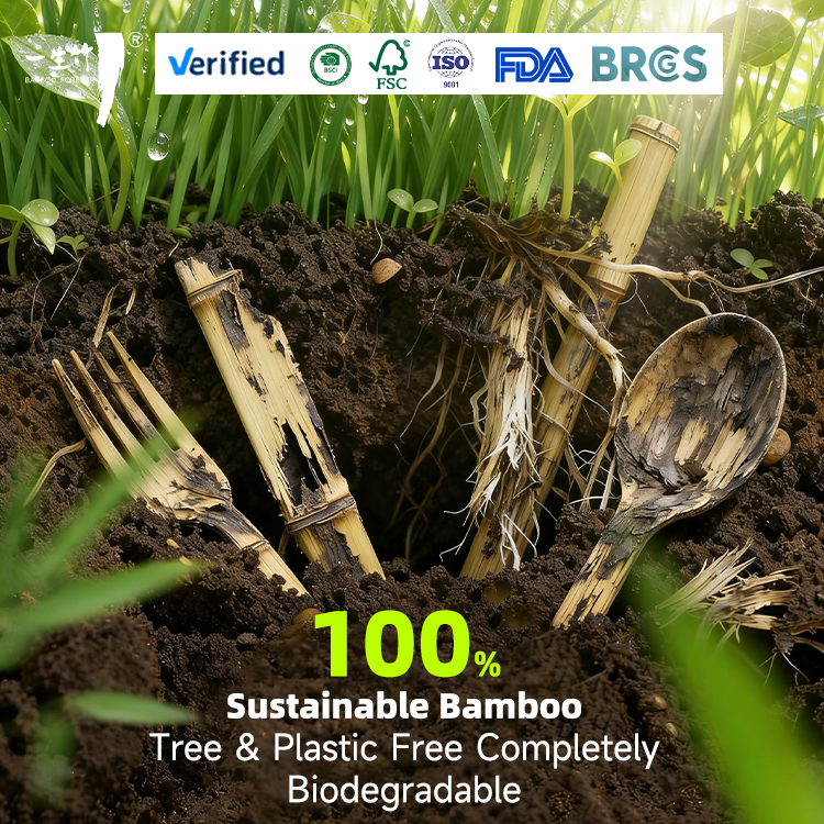 What Are the Common Usage Issues with Bamboo Fork Sets and How to Avoid Them?