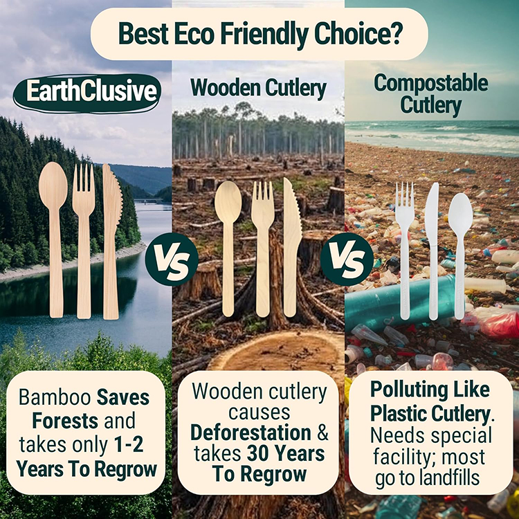 How to Choose the Best Eco-Friendly Cutlery Set for Your Business