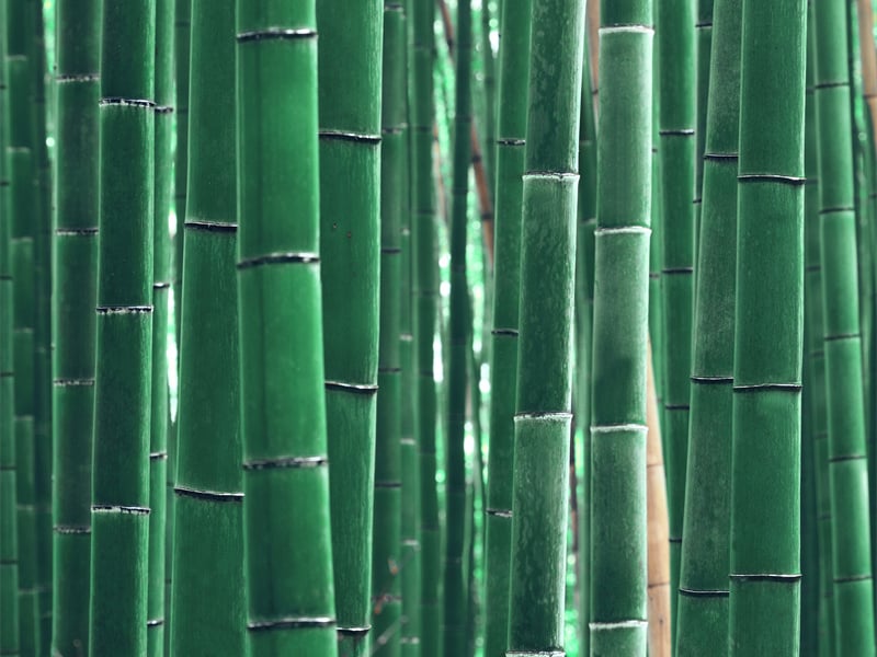 Production Process