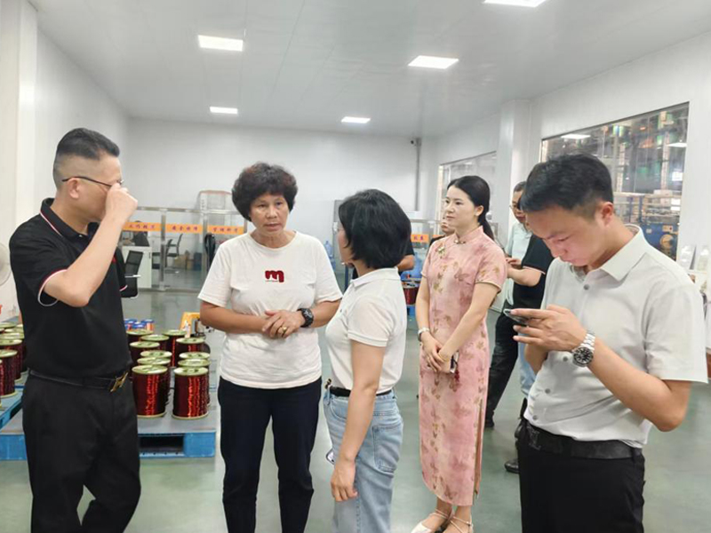 Mr. Cao and his delegation from Wanli Group visited Huaerda Cable Group to discuss new opportunities for cooperation