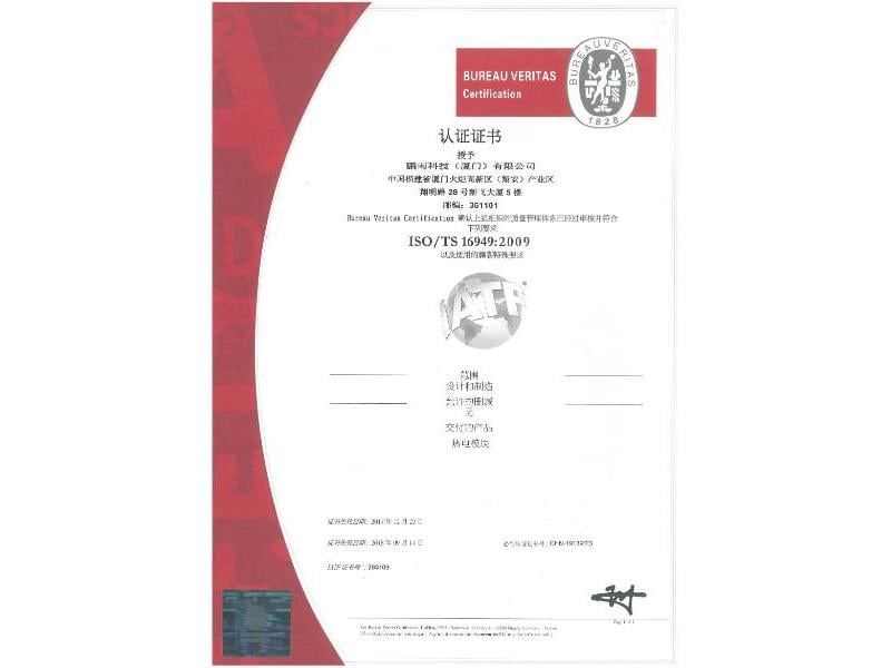 TS16949 Certified
