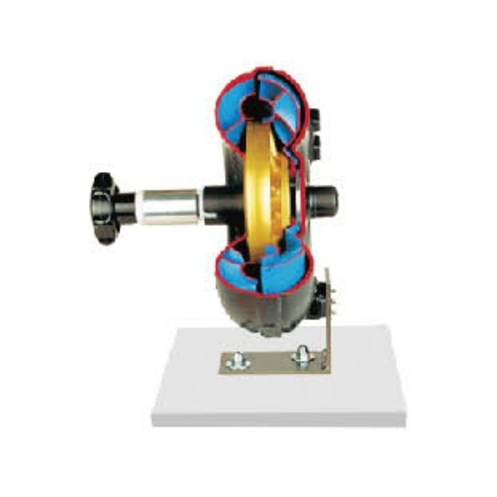 Hydraulic torque converter anatomical model