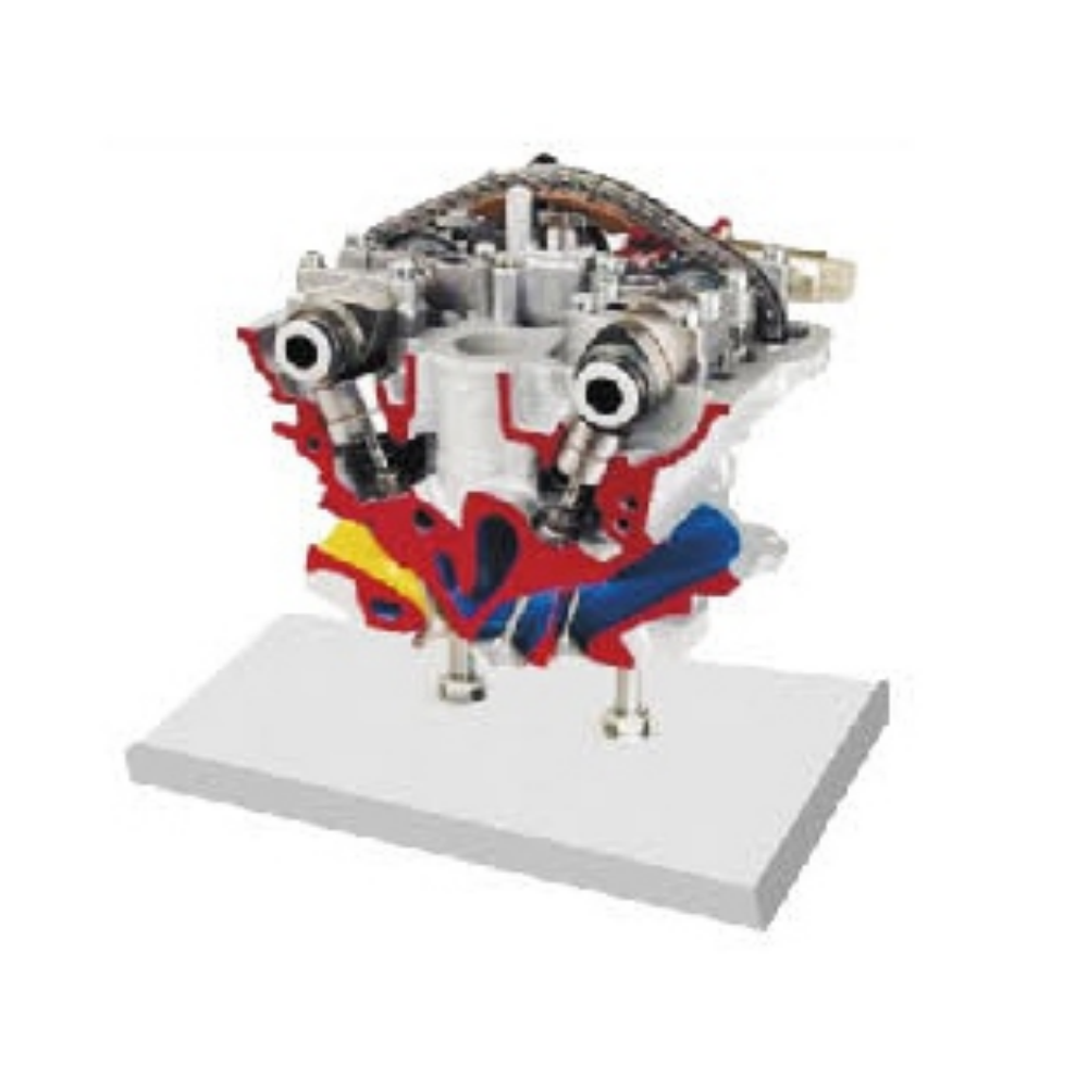 Anatomical model of an Audi 5-valve camshaft adjustment device