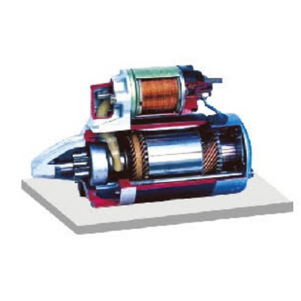 Starter motor dissected model