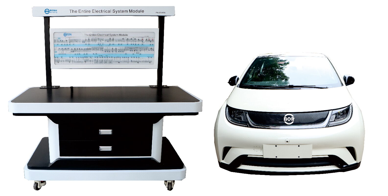 Support for BYD Dolphin Six Linkage Training Platform
