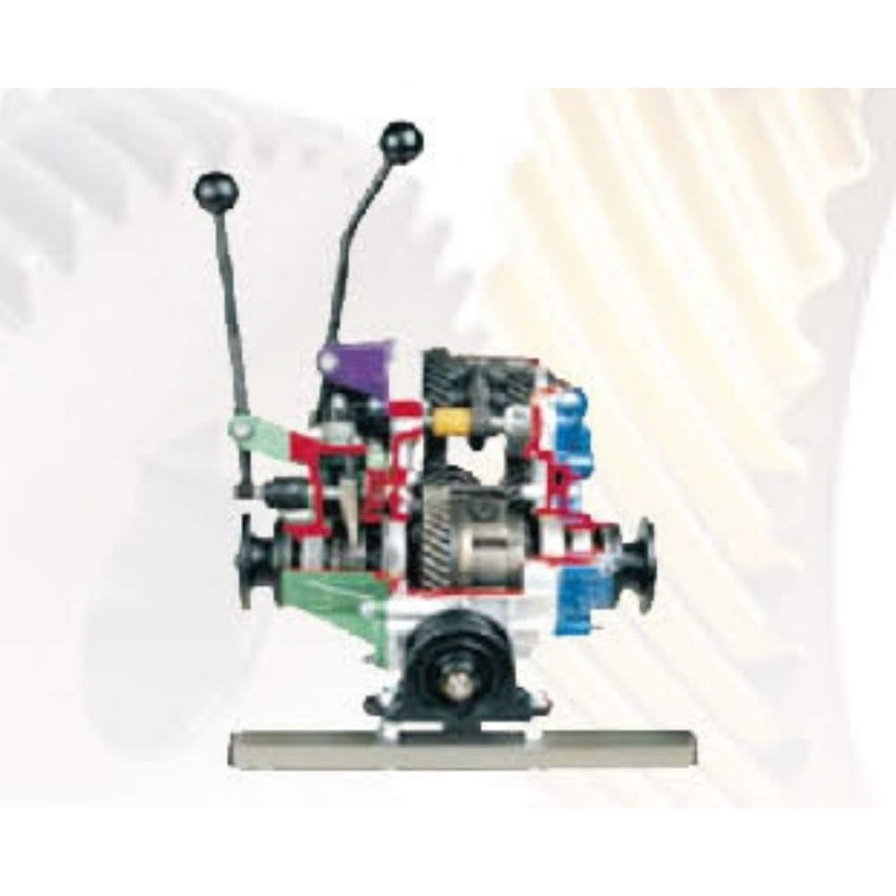 Transfer case dissected model