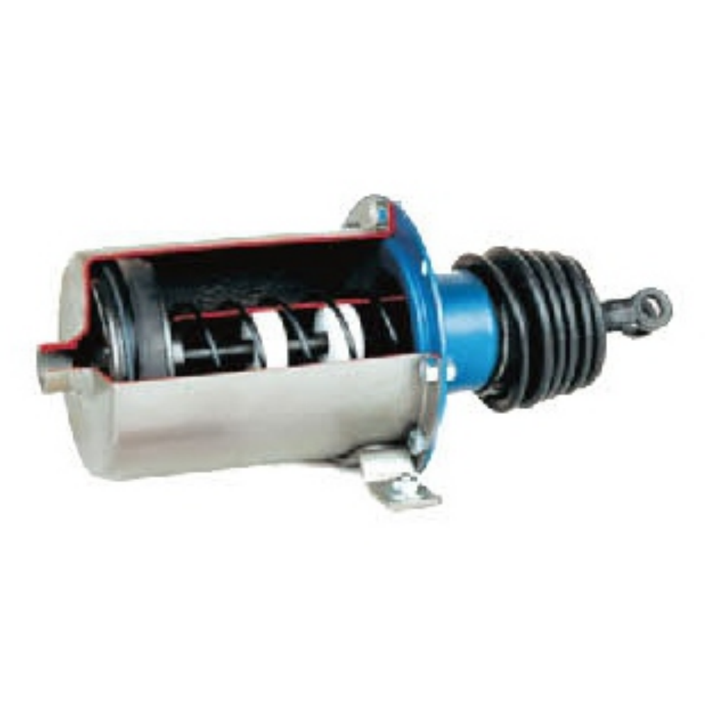 Piston Cylinder Anatomical Model