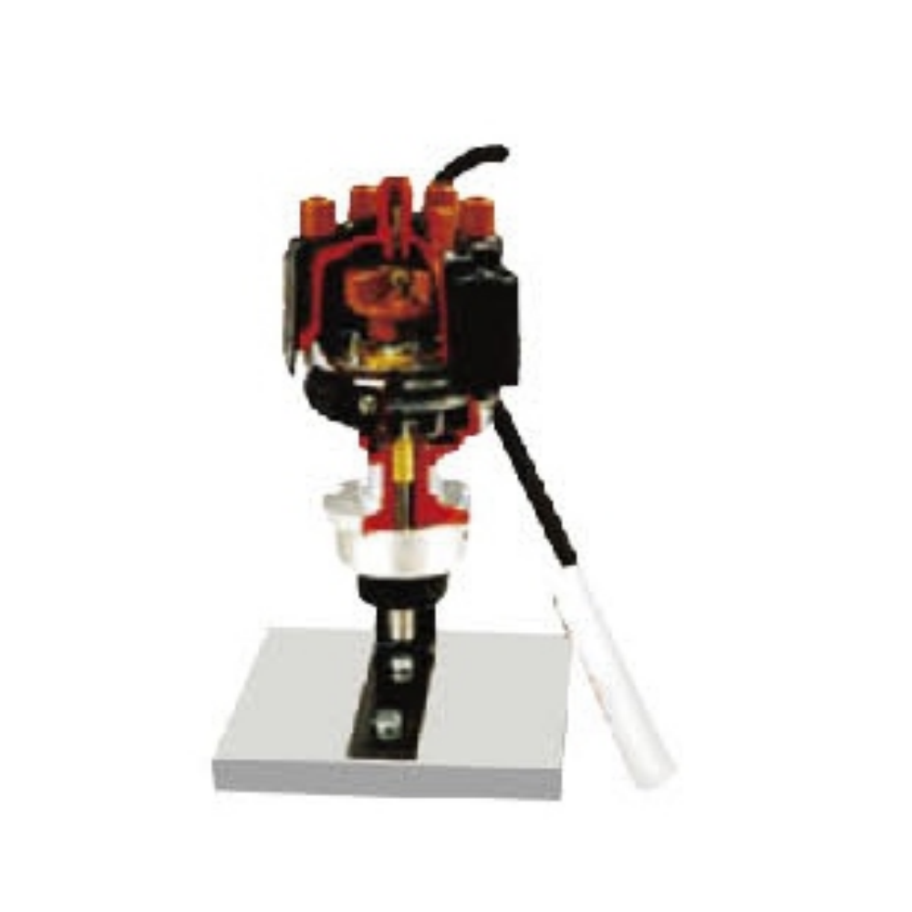 Modelo anatómico de un distribuidor magnetoeléctrico