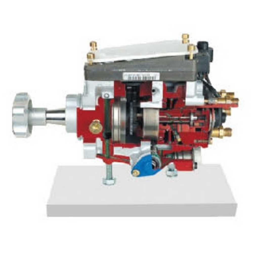 Vp44 Radial Piston Distributor Pump Anatomical Model