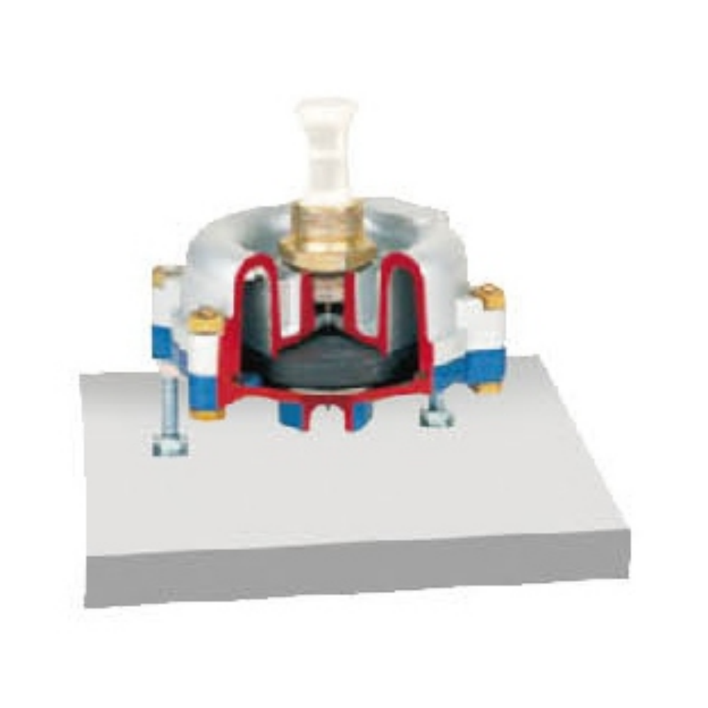Automatic drain valve anatomical model