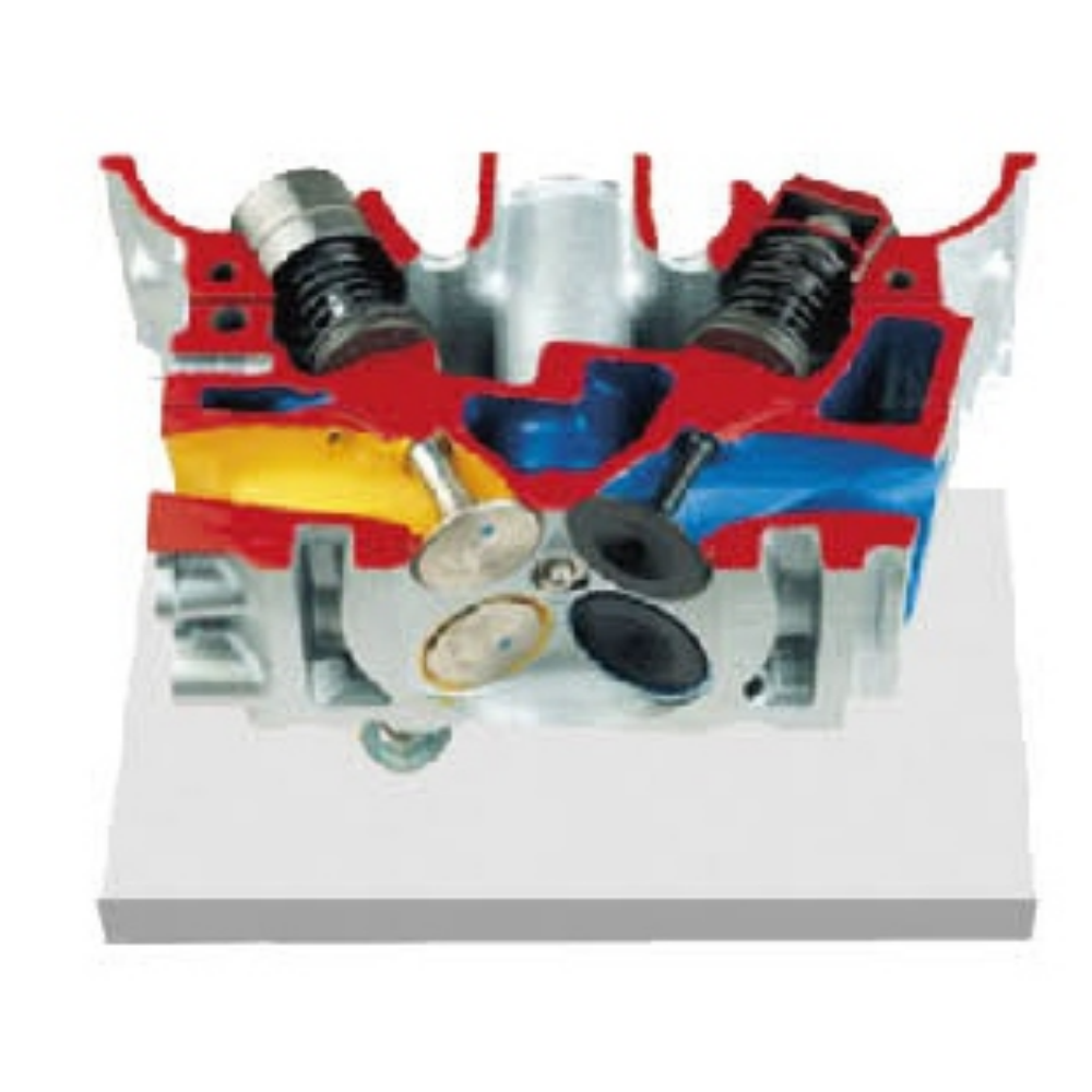 Modelo anatómico de culata — motor de 4 válvulas