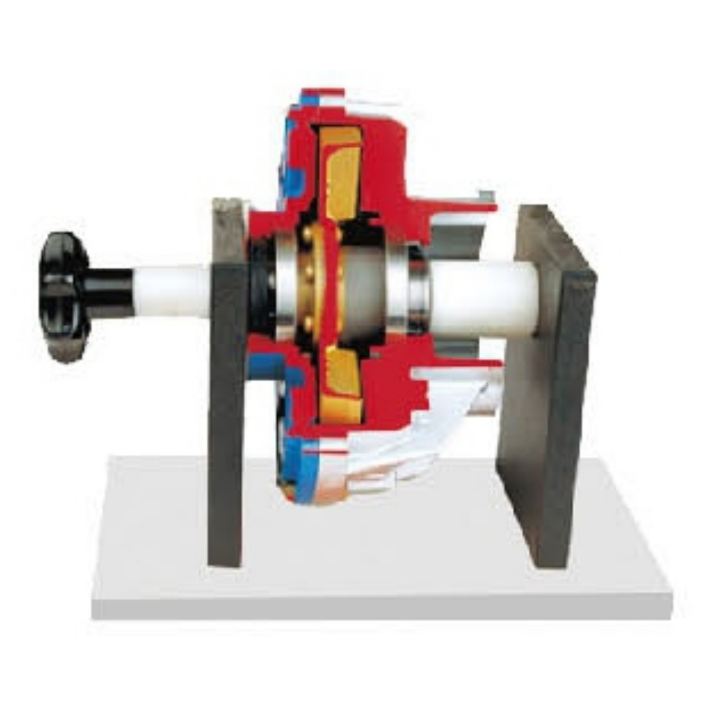 Hydraulic coupler anatomical model
