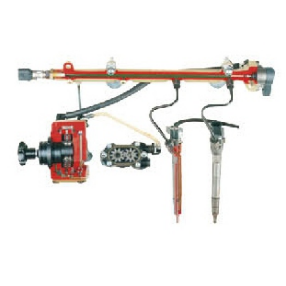 Modelo anatómico del sistema de inyección common rail