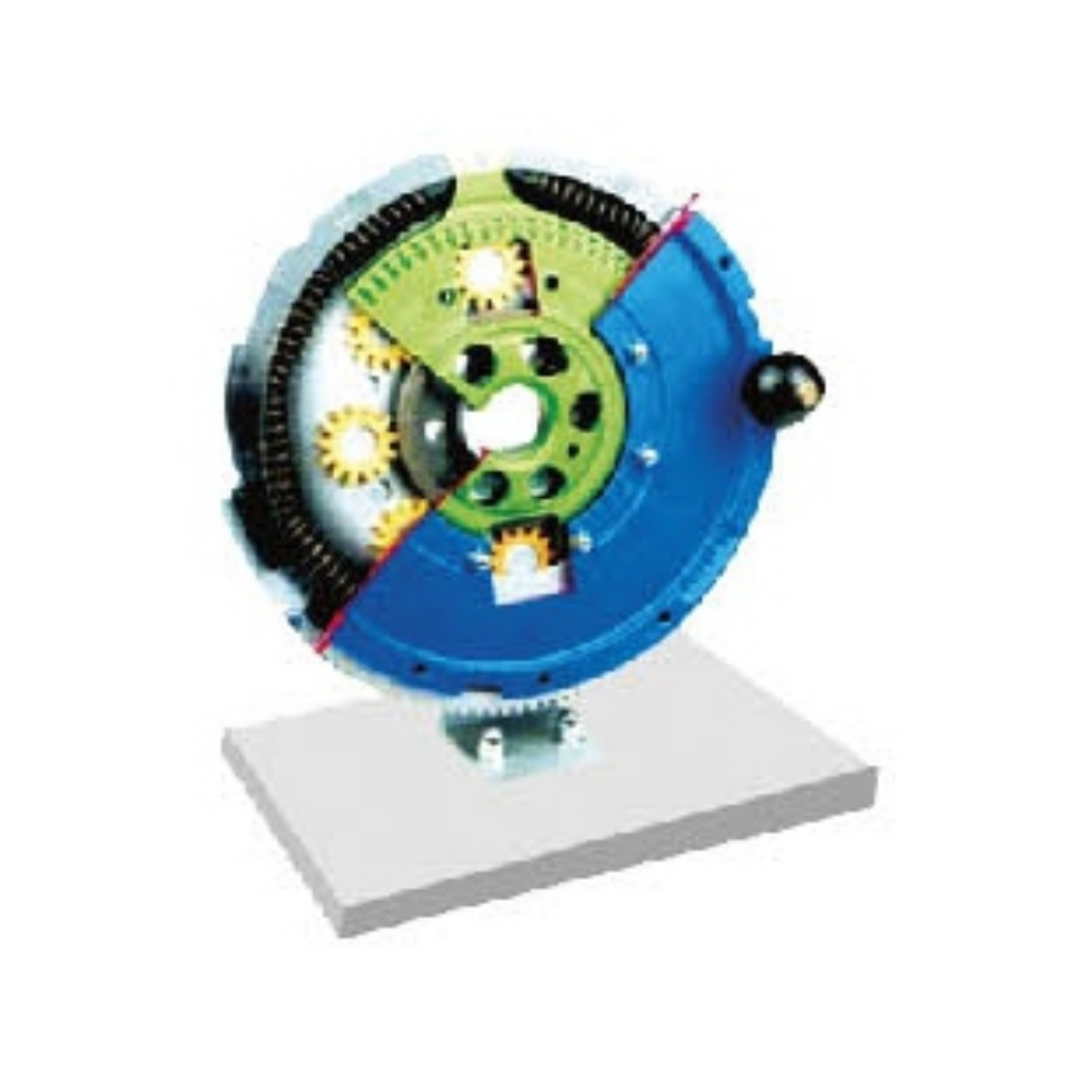 Planetary Dual Flywheel Anatomical Model