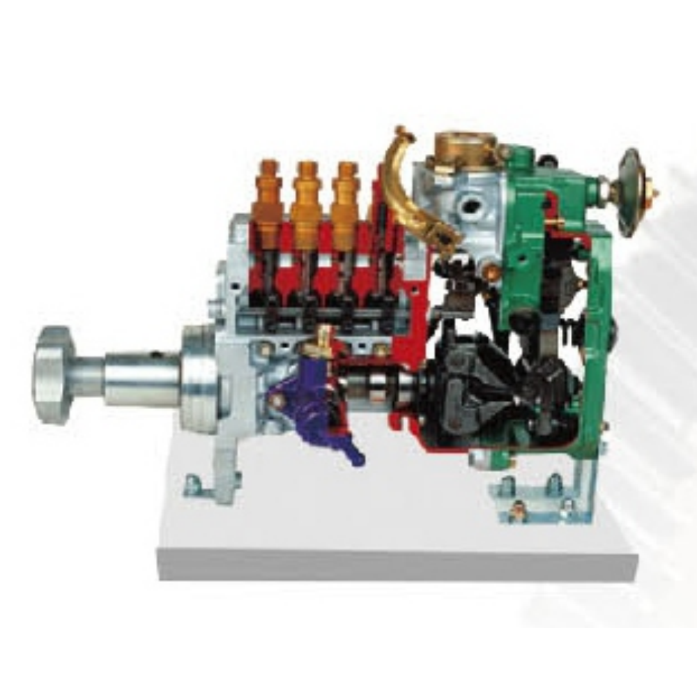 Inline injection pump anatomical model (RSF)