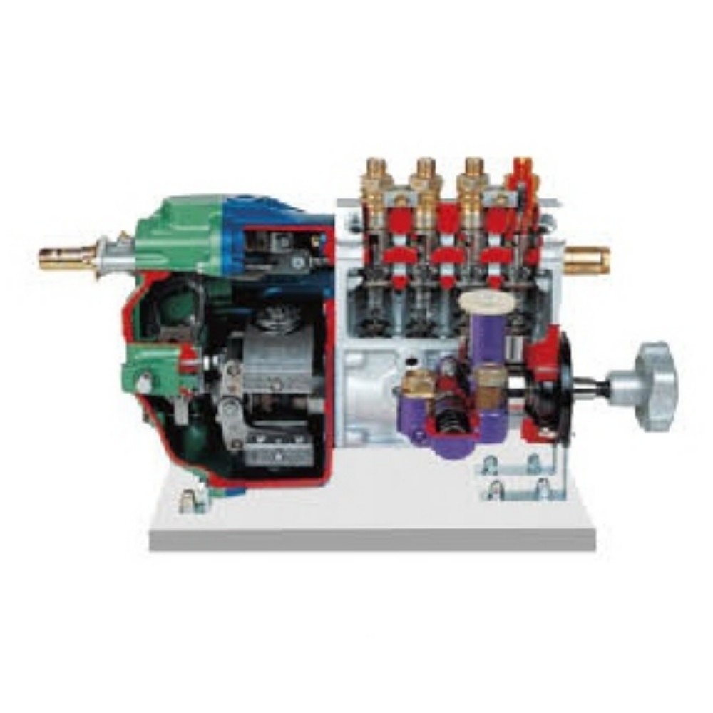 Inline injection pump anatomical model (RQV)