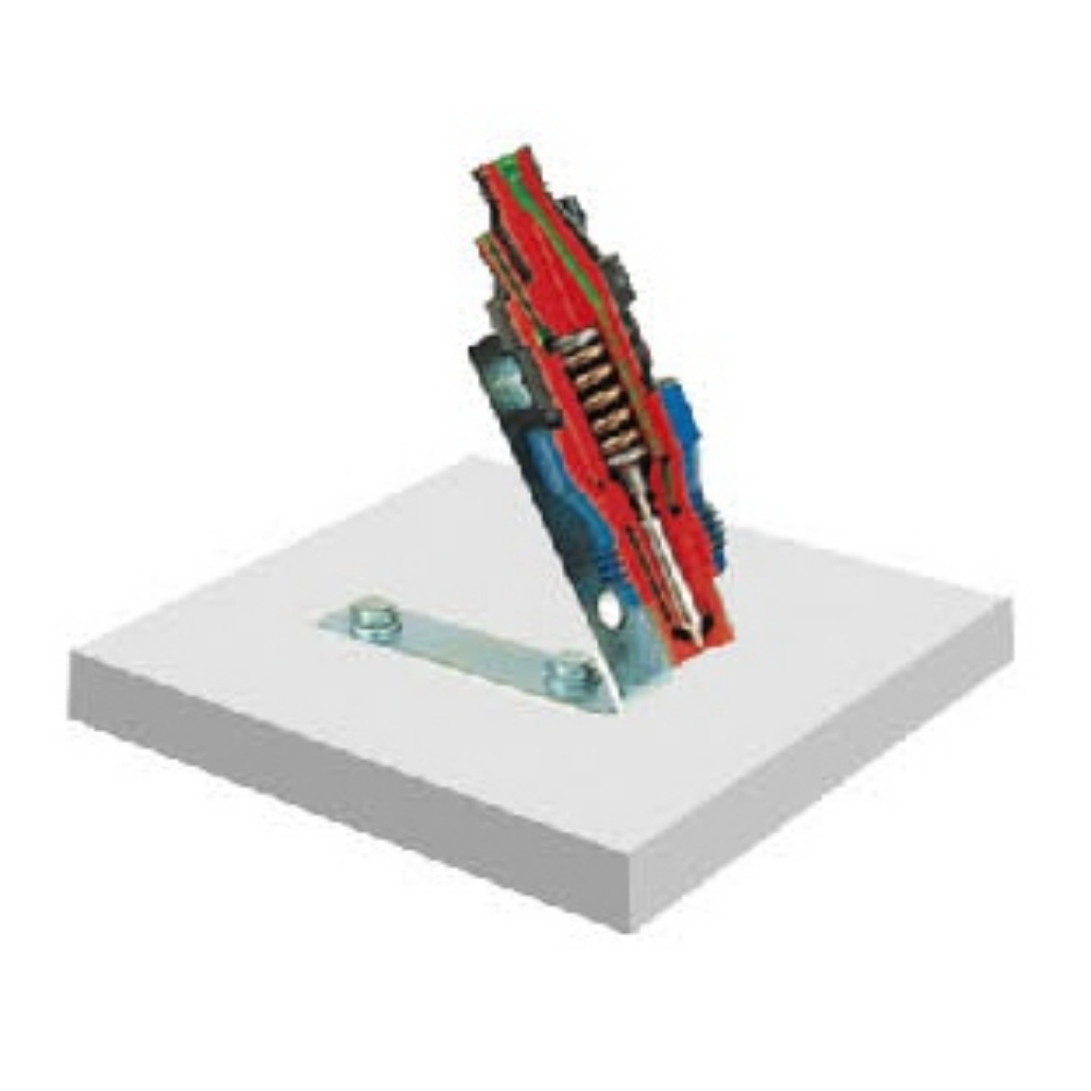 Needle valve nozzle anatomical model