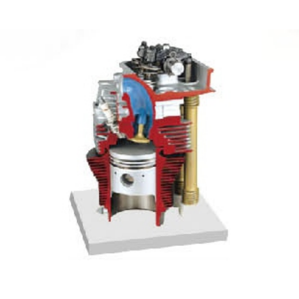 Cylinder and cylinder with camshaft dissected model