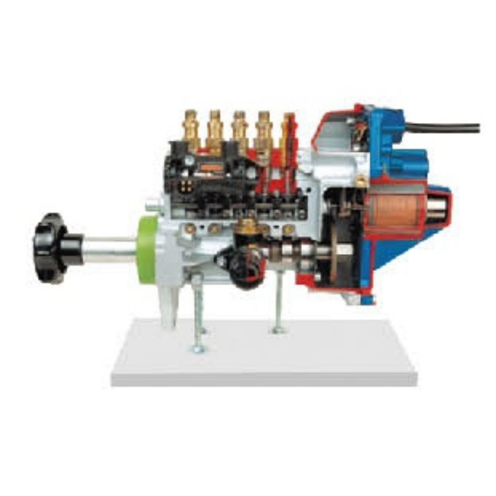 Electrically controlled inline injection pump dissected model (EDC)