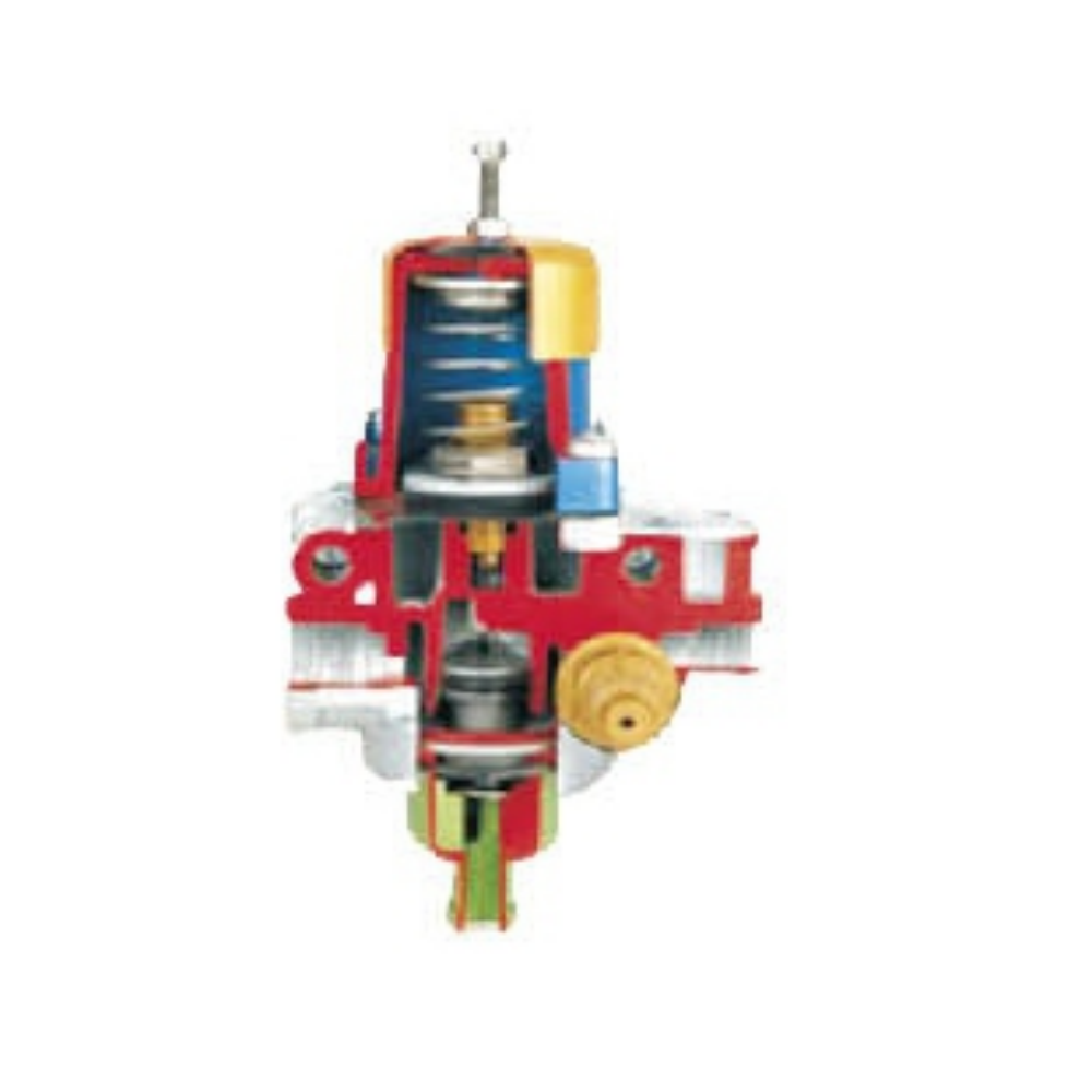 Pressure Regulator Anatomical Model
