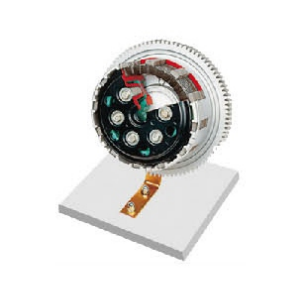 Multi-plate clutch dissected model