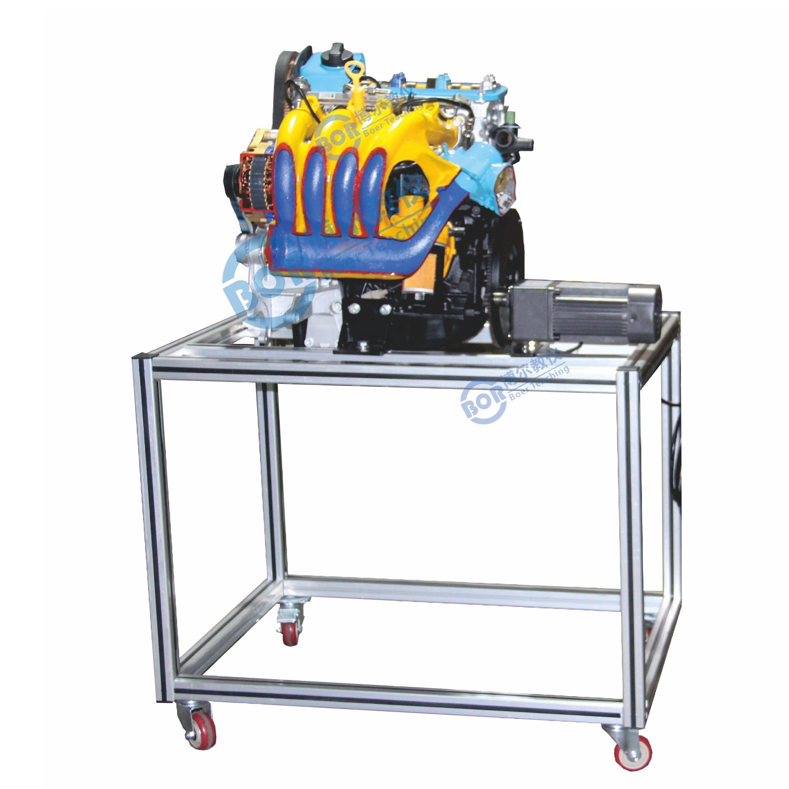 Engine anatomy display