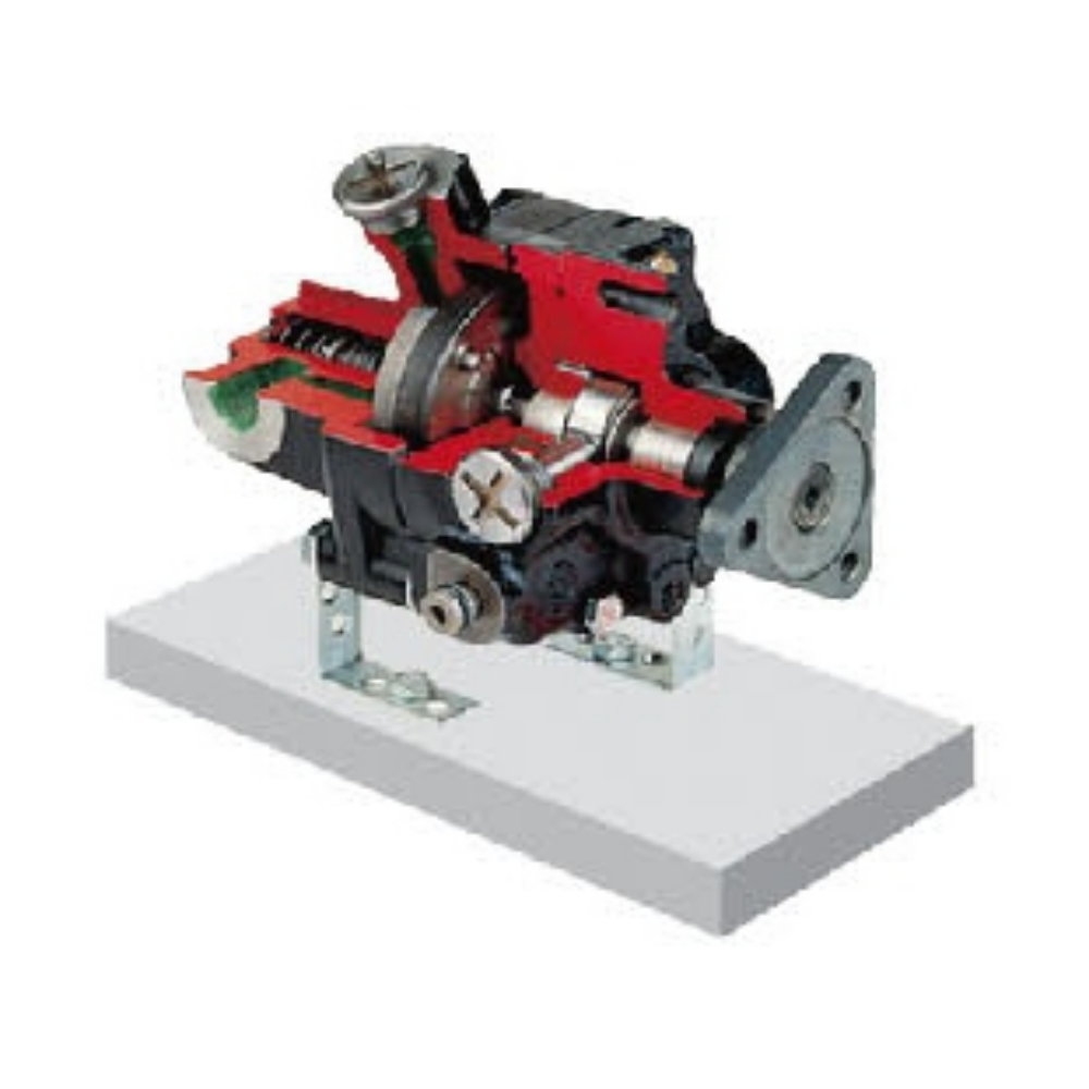 Hydraulic pump anatomical model