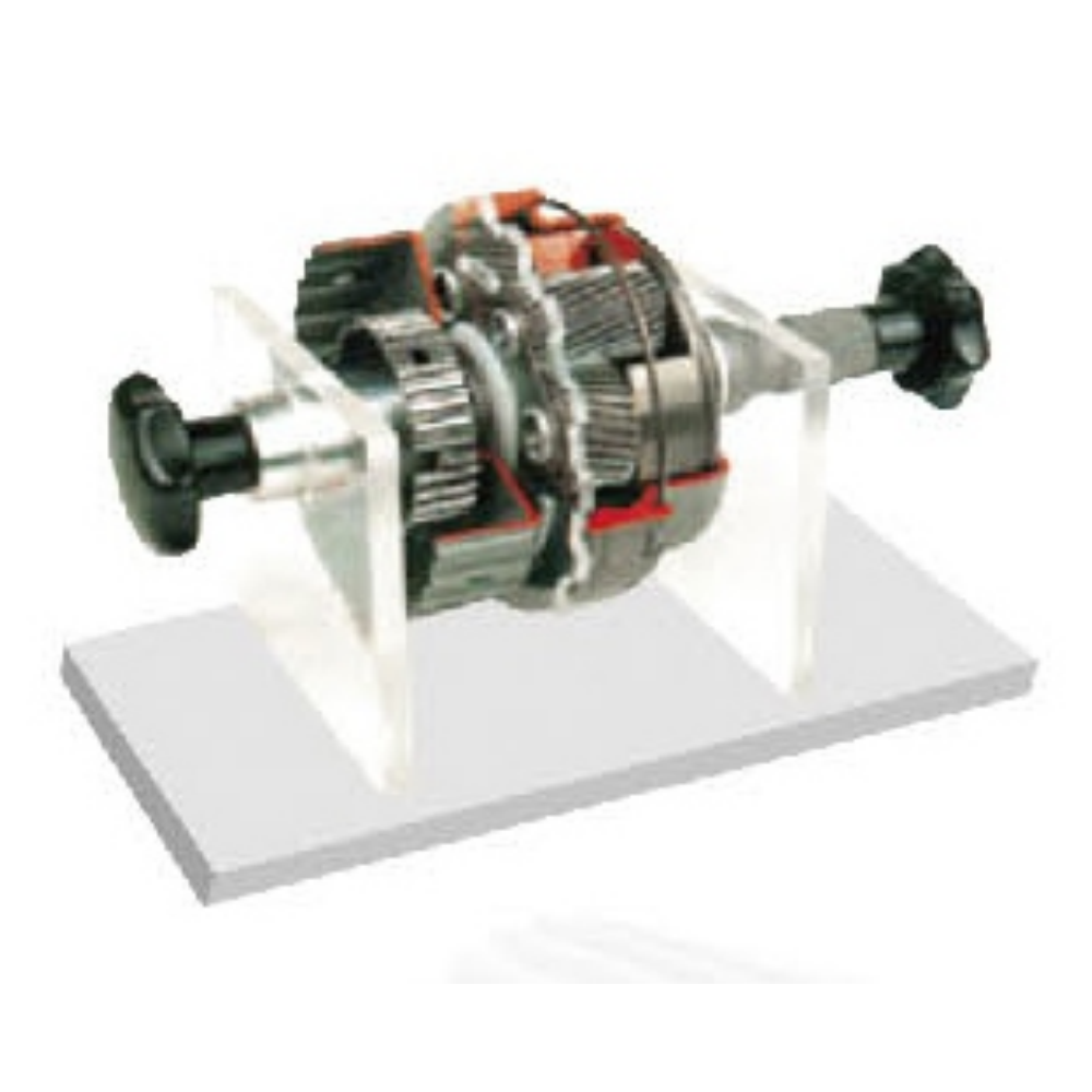 Ravina Planetary Gear Transmission Anatomical Model