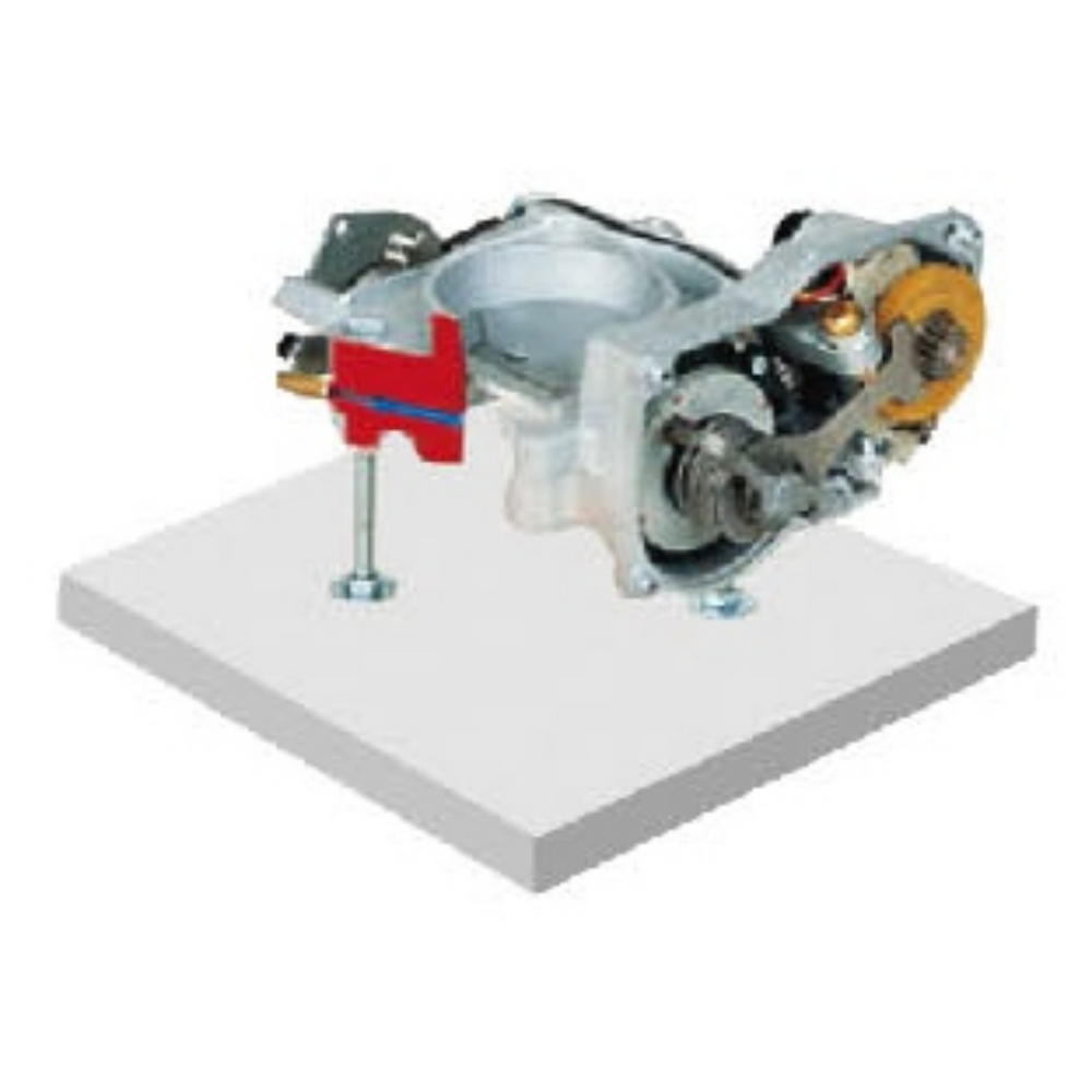 Throttle body dissected model