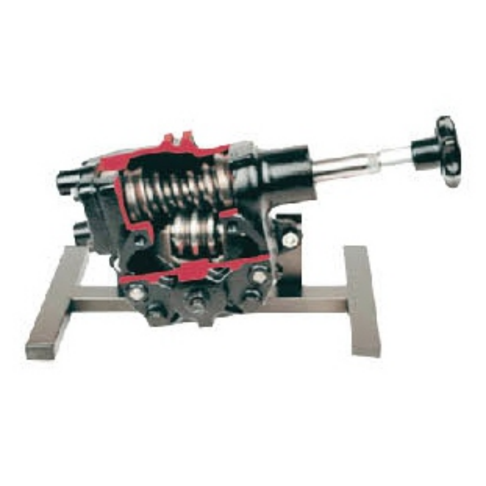 Worm Gear Steering System Anatomical Model