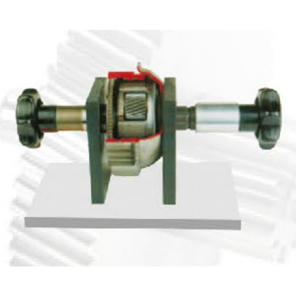 Planetary Gear Transmission Anatomical Model
